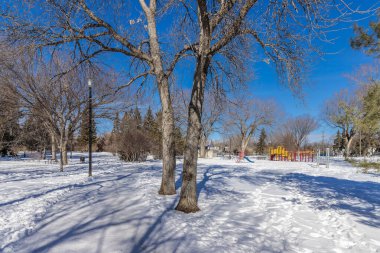 Buena Vista Parkı Saskatoon 'un Buena Vista mahallesinde yer almaktadır..