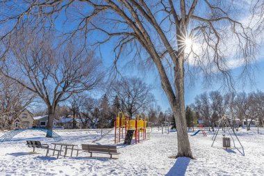 Buena Vista Parkı Saskatoon 'un Buena Vista mahallesinde yer almaktadır..