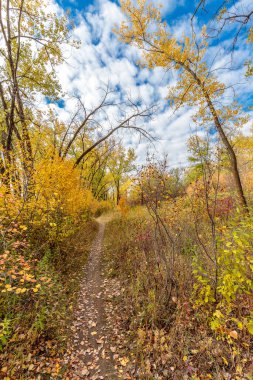Meewasin Park Saskatoon 'un Lawson Heights mahallesinde yer almaktadır..
