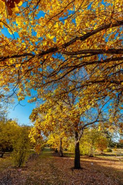 Patterson Garden is located in the U of S Lands South Management Area of Saskatoon.