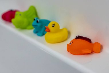 Bir sıra plastik ördek bir rafa dizildi. Ördekler farklı renk ve boyutlarda, biri turuncu, diğeri yeşil. Eğlence ve oyun anlayışı