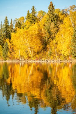 Ağaçlar ve gölle güzel bir sonbahar günü. Ağaçlar yapraklarla dolu ve su sakin.