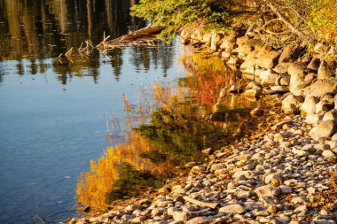 A body of water with a rocky shoreline and trees in the background. The water is calm and the shoreline is lined with rocks clipart