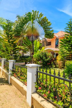 Önünde büyük bir ağaç olan bir ev. Ağaç beyaz bir çitle çevrili.