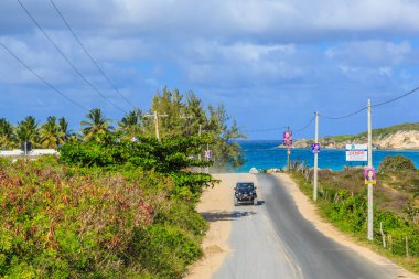 Bir araba okyanus yakınındaki bir yolda ilerliyor. Yol ağaçlar ve çalılarla kaplı.