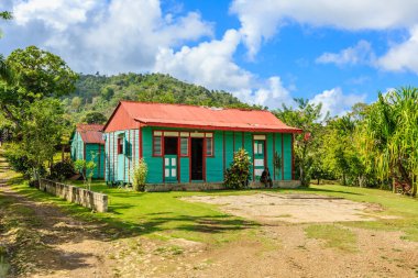 Kırmızı çatılı küçük bir ev toprak bir yolda duruyor. Ev ağaçlar ve çalılarla çevrili.