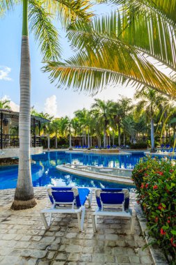 Arka planda iki şezlong ve bir palmiye ağacı olan bir havuz. Sandalyeler mavi ve beyaz.