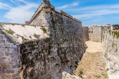 Üzerinde yosun büyüyen bir duvar. Duvar eski ve bir sürü tarihi var. Yosun, duvara yaş ve çürüme hissi veriyor.
