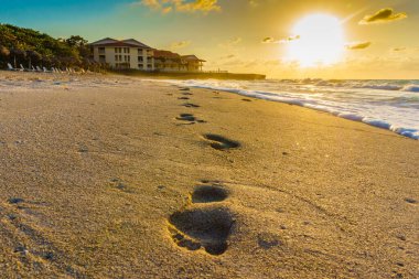 The beach is a beautiful and tranquil place, with a stunning sunset in the background. The sand is covered in footprints, indicating that people have been walking along the shore clipart