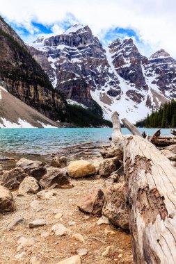 Sahilde bir su kütlesinin yanında büyük bir kütük var. Kütük kısmen suya batmış. Kumsal kayalıktır ve su sakindir. Huzurlu ve huzurlu bir sahne.