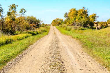 Arka planda ağaçlar olan toprak bir yol. Yol boş ve üzerinde kimse yok.