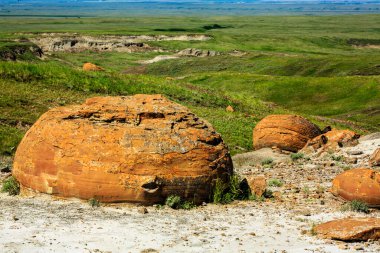 Büyük bir kaya bir tarlanın ortasında oturur. Kaya daha küçük kayalarla çevrili ve arka planda çok sayıda ot var. Sahne huzurlu ve sakin, kayalıklarla