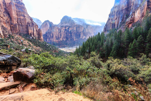 Горный массив с лесом в долине. Небо облачно, деревья зеленые.