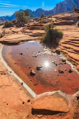 Küçük bir su havuzu kayalık bir çölün ortasında duruyor. Su kahverengi ve bulanık, ve güneş onun üzerinde parlıyor, güzel bir yansıma yaratıyor. Huzurlu ve huzurlu bir sahne.