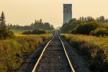 Arka planda büyük bir tahıl ambarı olan bir tren yolu tarladan geçiyor. Sahne sakin ve sakin, tren rayları ve silo huzur ve sükunet hissi yaratıyor.