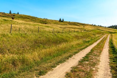 Çimenli bir arazide toprak bir yol esiyor. Yol dardır ve toprak bir yüzeyi vardır. Çimler uzun ve yeşildir ve bölgede hiç ağaç yoktur. Huzurlu ve huzurlu bir sahne.