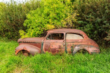 Eski, paslı bir araba çimenli bir arazide duruyor. Araba kirle kaplı ve soluk yeşil bir boyası var. Nostalji kavramı ve zaman geçişi