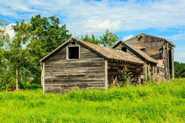 Küçük, eski ve harap olmuş bir ev çimenli bir tarlada duruyor. Ev ağaçlarla çevrili ve önünde büyük bir penceresi var. Sahne terk edilme ve ihmalkarlıktır.