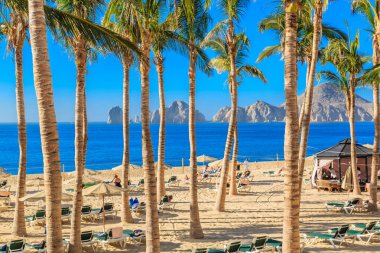 Sahilde palmiye ağaçları olan güzel bir sahil manzarası. Kumsal insanların eğlencesiyle dolu. Sandalyelere uzanıp güneşleniyorlar.