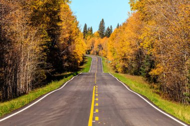 Her iki tarafında ağaçlar ve sarı bir çizgi olan bir yol. Yol boş ve ağaçlar sonbahar renginde.