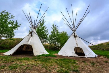 Two teepees are standing in a field. The teepees are white and are facing each other. The sky is cloudy and the grass is green clipart