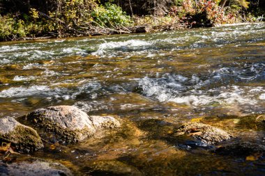 İçinde bir sürü taş olan bir nehir. Su kahverengidir ve kayalar nehir boyunca dağılır.
