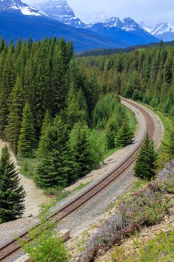 Arka planda dağlar olan bir ormandan geçen tren rayları. Tren kullanımda değil.