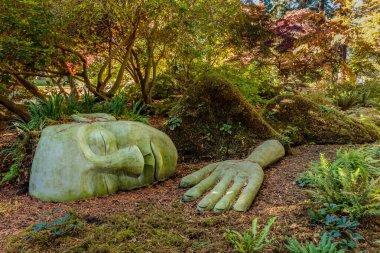 Bir adamın kafasının büyük bir heykeli ve bir el bir bahçede yerde yatıyor. Heykel taştan yapılmıştır ve o bir kişinin yüzü ve elinin temsilcisidir.