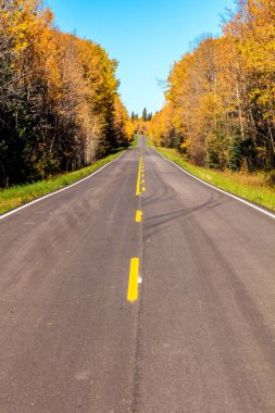 Arka planda sarı çizgiler ve ağaçlar olan bir yol. Yol boş ve düz.