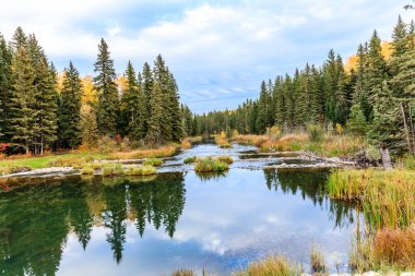 Her iki tarafında ağaçlar olan sakin bir nehir. Su berrak ve gökyüzü bulutlu.