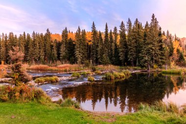 Arkasında açık mavi gökyüzü olan ağaçlarla çevrili güzel bir göl. Ağaçlar sonbaharın çeşitli aşamalarında, bazı yapraklar hala yeşil, diğerleri ise sarı ve turuncu renktedir.