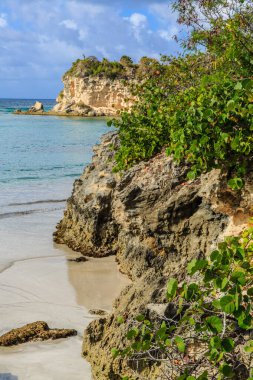 Arka planda uçurum olan kayalık bir kıyı şeridi. Kumsal kumlu ve su sakin.