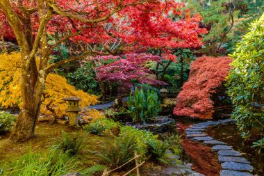 Ağaçlarla ve göletle kaplı bir patikası olan güzel bir bahçe. Ağaçlar kırmızı, sarı ve yeşilin çeşitli tonlarındadır.