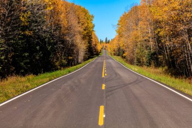 Her iki tarafında ağaçlar ve açık mavi bir gökyüzü olan bir yol. Yol boş ve üzerinde hiç araba yok.