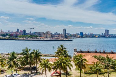 Arka planda büyük bir su kütlesi olan bir şehir. Su sakin ve gökyüzü berrak. Şehir palmiye ağaçları ve binalarla dolu.