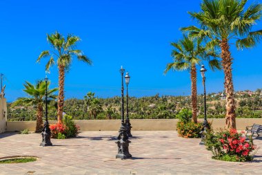 Palmiye ağaçları ve mavi gökyüzü olan güzel bir açık hava manzarası. Sahne huzurlu ve rahatlatıcı, sakinlik ve sükunet hissi ile.