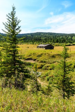 Küçük bir kulübe bir ağaç tarlasının ortasındadır. Kulübe eski ve kırsal bir görünüme sahip. Ağaçlar uzun ve yeşil, gökyüzü açık ve mavi. Huzurlu ve huzurlu bir sahne.