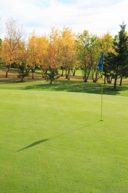 Yeşil çimlerin üzerinde mavi bayrak olan bir golf sahası. Bayrak başlangıç noktasında ve çimenler iyi korunuyor.