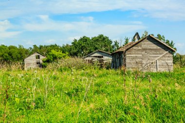 Ortasında bir ahır ve birkaç eski harap bina olan geniş, açık bir alan. Ahır çimenler ve ağaçlarla çevrili. Sahneye kırsal ve huzurlu bir atmosfer katıyor.