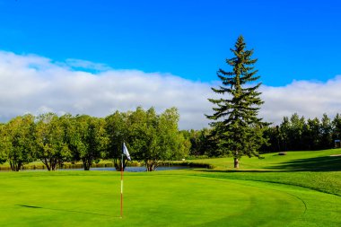 Yeşil çimenli bir sahası ve yerde bayrağı olan bir golf sahası. Bayrak golf sahasında, ve golf topu havada. Gökyüzü açık ve mavi, ve arka planda bir ağaç var.