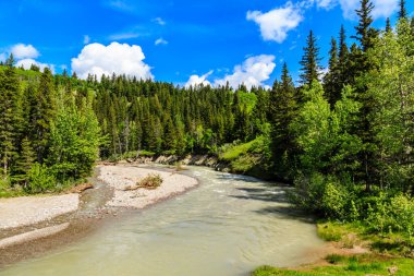 İki tarafında yeşil orman olan bir nehir. Su berrak ve sakin. Gökyüzü mavi ve bulutlu.