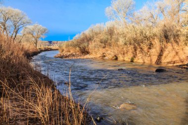 Kıyısında bir sürü ot ve ağaç olan bir nehir. Su kahverengi ve bulanık.