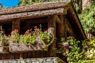 Ahşap çatılı bir ev ve çiçeklerle dolu bir balkon. Çiçekler saksıda ve farklı renklerde. Evin kırsal ve samimi bir havası var.