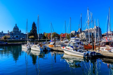 Bir grup tekne, arka planda büyük bir bina bulunan bir marinaya yanaştı. Su sakin ve gökyüzü berrak. Huzurlu ve sakin bir atmosfer yaratıyor.