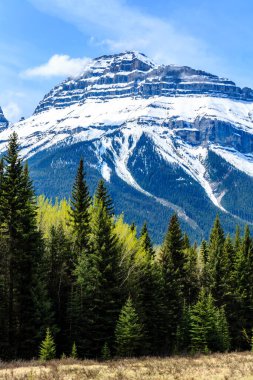 Kar ve ağaçlarla kaplı bir dağ sırası. Gökyüzü açık ve mavi. Barış ve sükunet kavramı, uçsuz bucaksız dağ sıraları ve sakin manzara güzel ve sakinleştirici bir atmosfer yaratıyor.