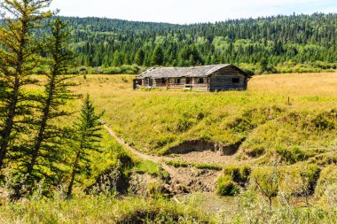 Küçük bir kulübe çimenli bir tarlanın ortasında. Kulübe ağaçlarla çevrili ve çimenler yeşil. Kulübe eski ve kırsal bir görünüme sahip. Tarla sakin ve sakin.