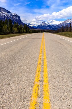 Ortasında sarı çizgi olan bir yol. Yol boş ve gökyüzü mavi.