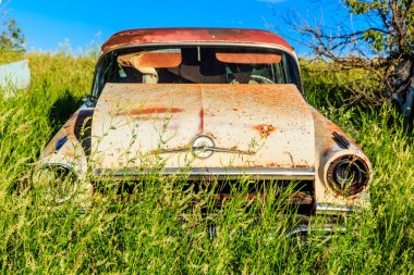 Paslanmış eski bir araba bir çimen tarlasında duruyor. Araba paslanmış ve adam terk edilmiş. Nostalji ve çürüme kavramı