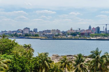 Altında nehir akan ve arkasında palmiye ağaçları olan bir şehir. Şehir binalarla dolu ve su sakin.