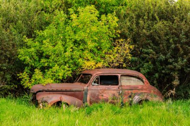 Çimenli bir arazide eski bir araba duruyor. Araba paslanmış ve soluk yeşil bir boyası var. Sahne huzurlu ve sessiz, resimdeki tek nesne araba.